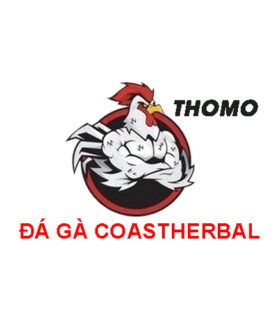 Profile picture of ĐÁ GÀ THOMO TRỰC TIẾP