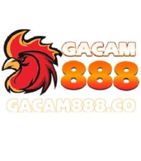 Profile picture of GACAM888 - ĐÁ GÀ THOMO, TRỰC TIẾP