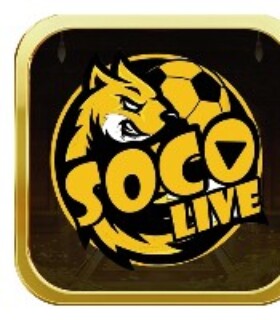 Profile picture of Socolive